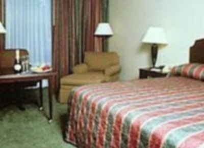 Rodeway Inn & Suites Hotel & Conference Center - King Bed Guest Rooms